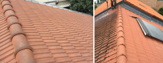 Couvreur à Paris 15 pour le démoussage de votre toiture